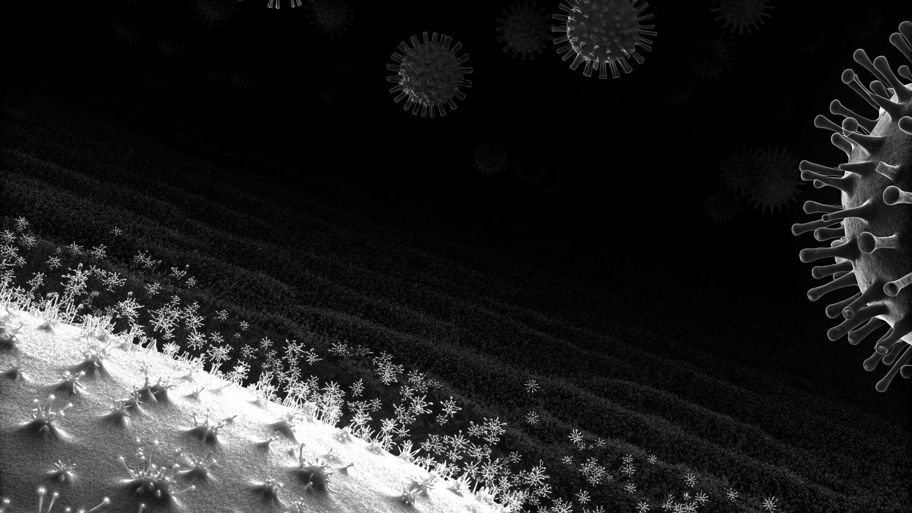 Représentation abstraite de structures virales au microscope